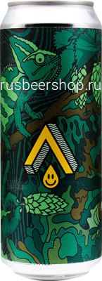 Альтернатив Салага