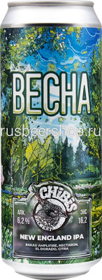 Чибис Весна