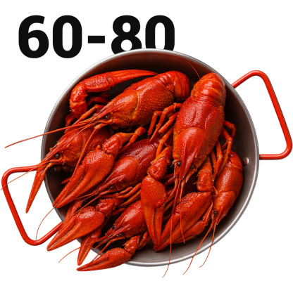 раки 60 80 раки 60 80